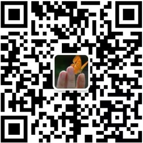 公司官網(wǎng)